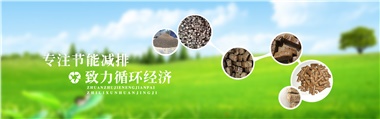 倪維斗院士：通過技術創(chuàng)新，大力發(fā)展超級能源生物質燃料
